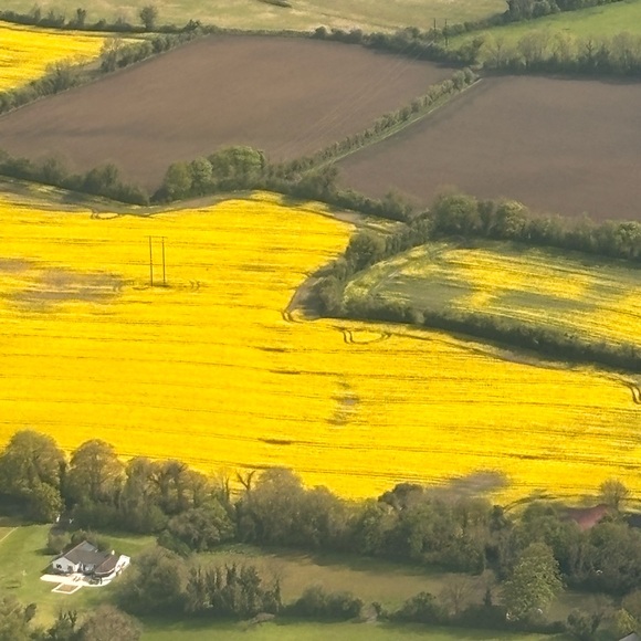 Meet your Posher, Britney - Picture 8 of 9